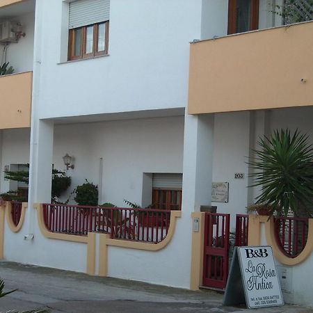 B&B La Rosa Antica Castro  Ngoại thất bức ảnh