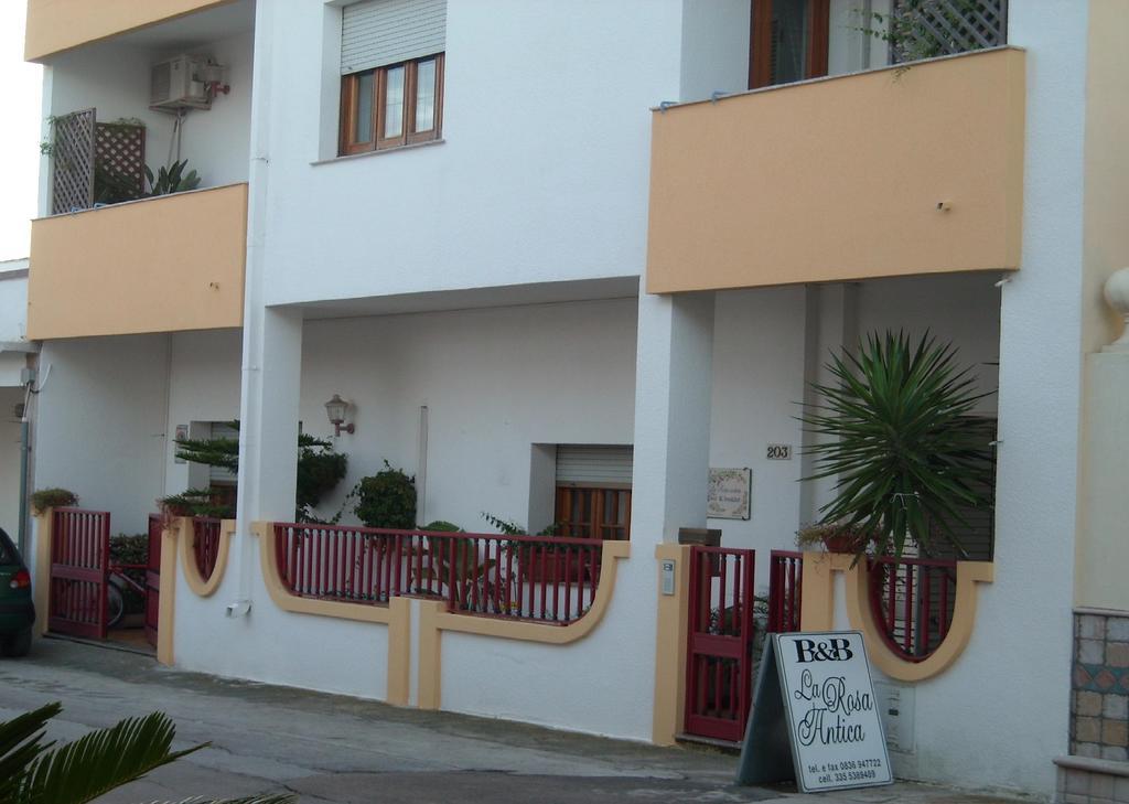 B&B La Rosa Antica Castro  Ngoại thất bức ảnh